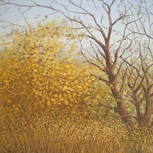 Meet your Posher, Deepti